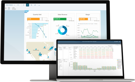 Discover BusinessObjects Insights